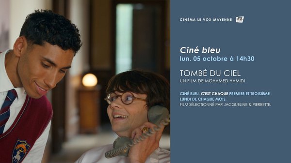 10.05Tombéduciel.jpg