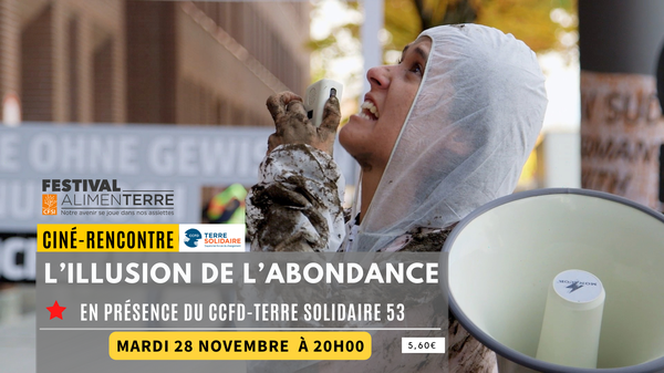 11.28 L'illusion de l'abondance.png